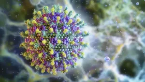 Surto de vírus Nipah coloca Índia em alerta máximo