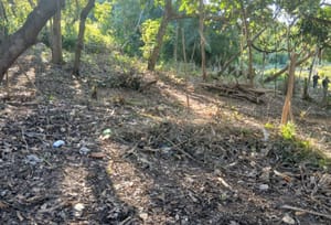 Forças de segurança de MT impedem mais duas invasões de terra em Cuiabá e Poconé