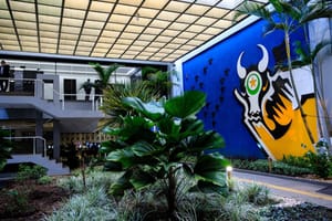 Governo de MT desmente fake news e paga salários com RGA nesta sexta-feira (30)