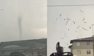Tornado atinge São José dos Pinhais e danifica 350 residências