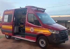 Carreta tomba em curva da MT-240 e mata bovinos no interior de Mato Grosso