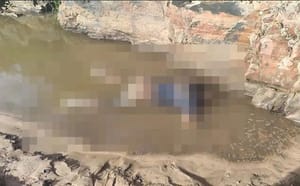 Corpo foi localizado pelo Corpo de Bombeiros após retomada das buscas neste domingo