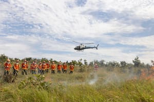 Queimadas ilegais geram R$ 360 milhões em multas em Mato Grosso