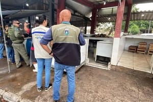 Ação conjunta flagra venda de peixes proibidos e fiscaliza banca na Feira do Praeirinho