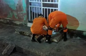 Bebê de dois meses é resgatado de sarjeta após ser levado pelo pai durante briga em Cuiabá