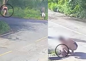 PM encontra bebê abandonada após mãe tentar deixá‑la em mata e dentro de bueiro