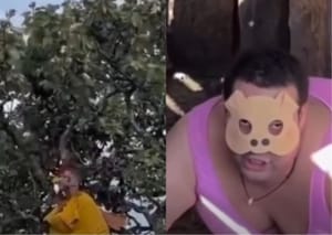 Pessoas viralizam nas redes sociais vestidos de animais e levantam debate sobre “therians”