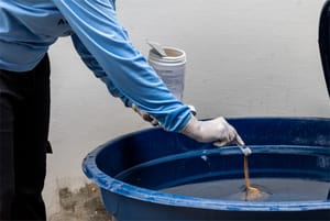 Cuiabá registra queda expressiva nos casos de dengue, chikungunya e zika