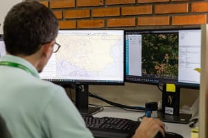 Levantamento aponta redução em 50% das áreas sob alerta de desmatamento nos últimos 10 anos
