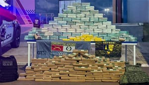 PM registra aumento de 19% em número de apreensões de drogas em janeiro deste ano