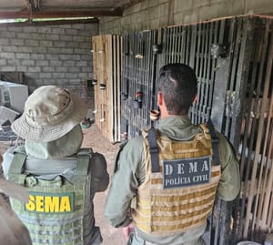 Arena clandestina de rinha é desmontada em Várzea Grande; veja vídeo