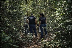 Ossada humana com sinais de execução é achada em mata às margens da rodovia MT-249