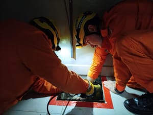 Após dois dias de miados, bombeiros resgatam gato preso em concreto