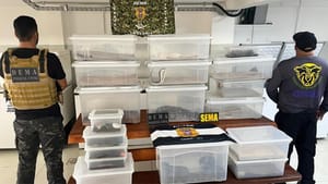 PJC mira biólogo em Cuiabá por manter animais silvestres e exóticos de forma ilegal