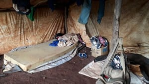 Empresas firmam TAC com o MPT e vão pagar R$ 10,7 milhões a mais de 400 trabalhadores de MT