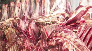 Carga de 32 toneladas de carne bovina avaliada em R$ 1 milhão é apreendida em Várzea Grande