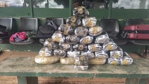 Gefron apreende "supermaconha" e causa prejuízo de quase R$ 50 mil as facções criminosas