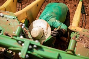 MT abre 2026 com saldo de 18,7 mil novos empregos com carteira; Cuiabá lidera no Estado