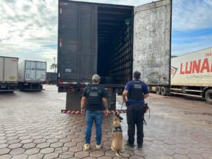 PF derruba esquema de tráfico interestadual e prende suspeitos em Goiás e no Pará