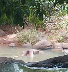 Corpo em estado de decomposição é encontrado boiando em rio de Diamantino