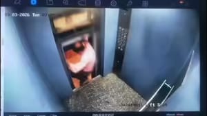 Homem escapa por pouco de ser esmagado por elevador que se moveu com portas abertas