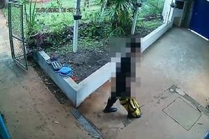 Ex-aluno invade escola com arma branca, fere professora e causa pânico em Suzano