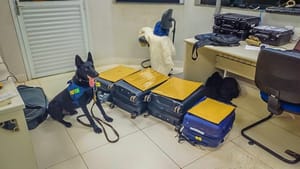 Faro certeiro: cães da PRF descobrem 21 kg de cocaína escondidos em ônibus na BR-364