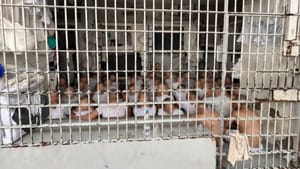 Justiça acata pedido e determina interdição parcial da Cadeia de Jaciara por superlotação