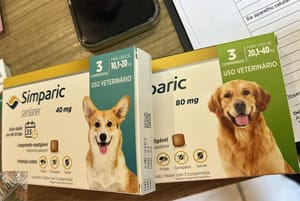 Polícia Civil apreende remédios vencidos durante buscas em clínica veterinária em MT