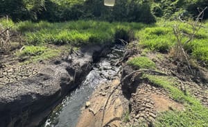Esgoto clandestino contamina córrego em MT e área é interditada pela Sema