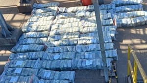 Prejuízo ao tráfico: Polícia Civil incinera mais de 1 tonelada de "supermaconha" em Alto Araguaia