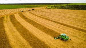 MT consolida safra 25/26 com produção recorde e mantém liderança na soja há 26 safras
