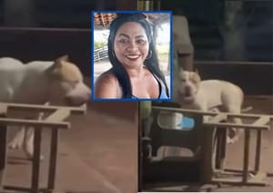 Morte após ataque de pitbull levanta dúvidas e pode ter reviravolta no Maranhão