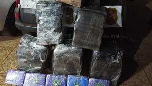 PJC apreende 178 tabletes de maconha e desarticula esquema de distribuição de drogas