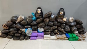 PMs da Força Tática apreendem 85 tabletes de maconha, pistola e 348 munições em VG