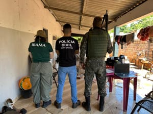 Operação flagra aves raras em cativeiro, aponta maus-tratos e suspeita de fraude em MT