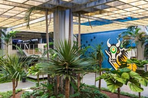 Governo de MT sanciona lei e mantém congelamento do Fethab até 31 de dezembro