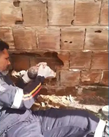 Bebê é encontrado vivo entre paredes de duas casas no Litoral Sul da Paraíba; veja vídeo