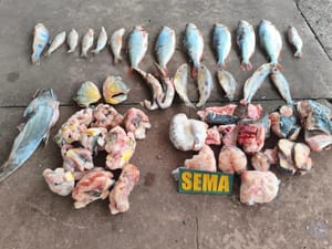 Pescados irregulares são apreendidos em estabelecimento às margens do Rio Cuiabá