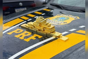 PRF apreende 28 barras de ouro ilegal avaliadas em R$ 10 milhões; motorista foi preso