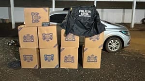Mulher é presa com 495 caixas de cigarros contrabandeados na rodovia MT-343