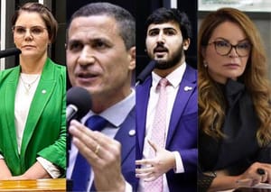 Deputados com mandato lideram pesquisa Percent Brasil, Virgínia Mendes tem bom desempenho