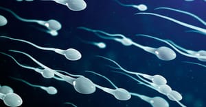 Torneio de corrida de espermatozoides premiará vencedor com R$ 517 mil