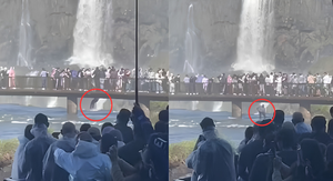 Homem ignora regras e pula nas Cataratas do Iguaçu para recuperar celular