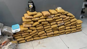 PMs da Força Tática apreendem 169 tabletes de maconha em VG; suspeitos foram presos
