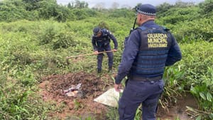 Corpo é encontrado enterrado em área de mata após denúncia anônima em Várzea Grande