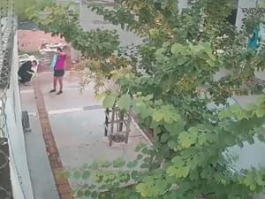 Bombeiro salva bebê de apenas quatro dias após mãe pedir socorro na porta de sua casa em Cuiabá
