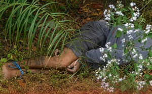 Corpo com mãos e pés amarrados é encontrado em área de mata em Campo Novo