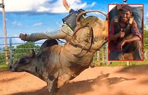 Peão de rodeio morre após cair de touro e ser atingido durante treinamento em MT