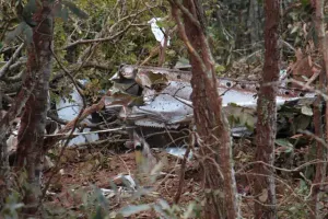 Avião de táxi aéreo cai em área de mata em Campo Grande e deixa dois mortos